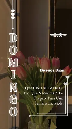 domingo