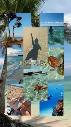 Summer Dump