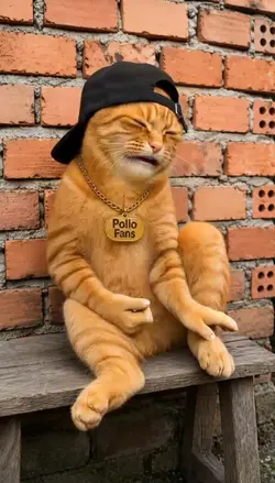 FUNNY CAT