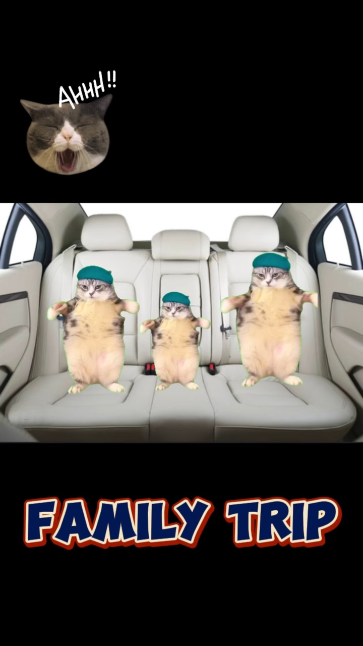 Family trip