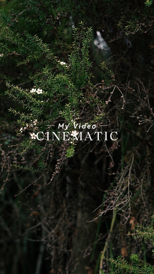 Cinematic 5 Video