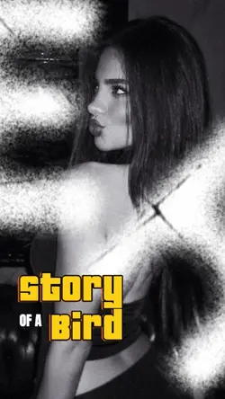 Story of a Bird