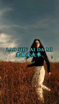 LAO SHU AI DA MI