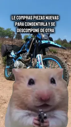 Ratón con pistola