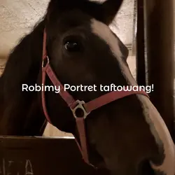 Ile byście zapłacili