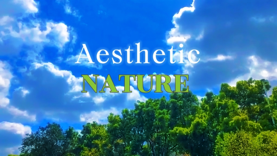 144P a 4k naturaleza