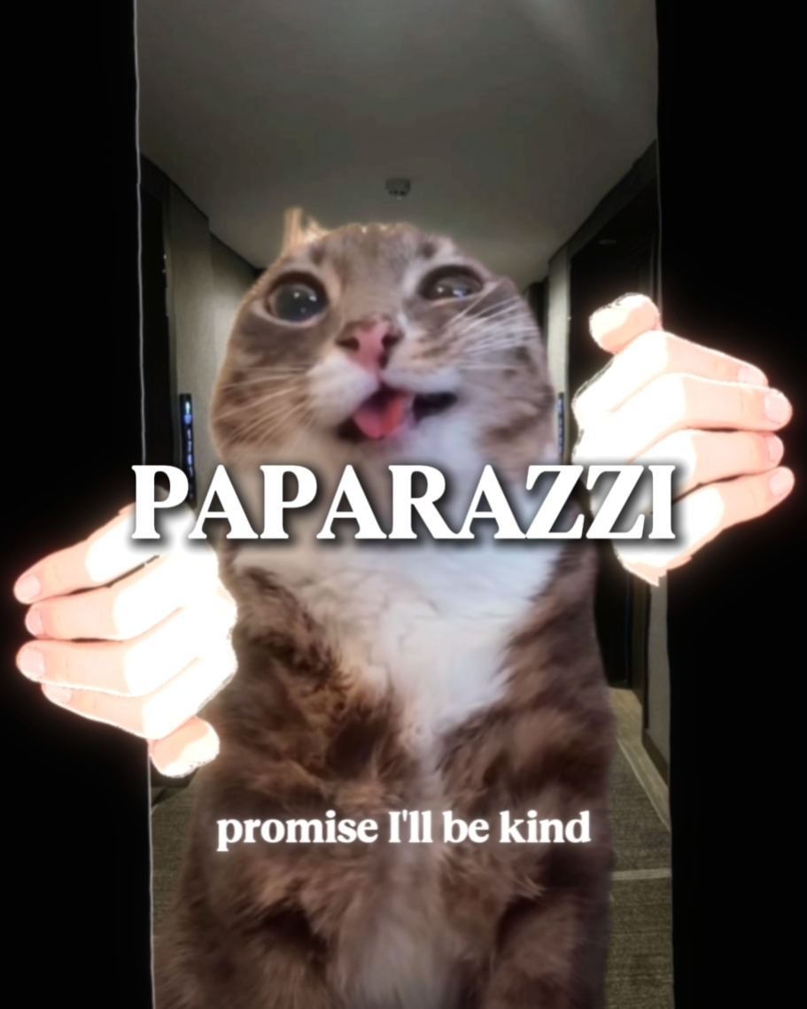 PAPARAZZI 