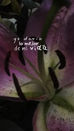 Mariposas