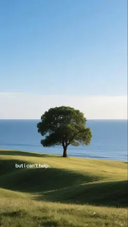 One Tree, but i can’