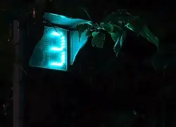 《可惜》