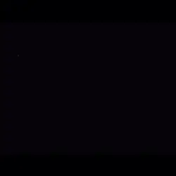 PLAYBOI CARTI EDIT