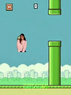 flappybird template 