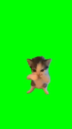 Prank Greenscreen
