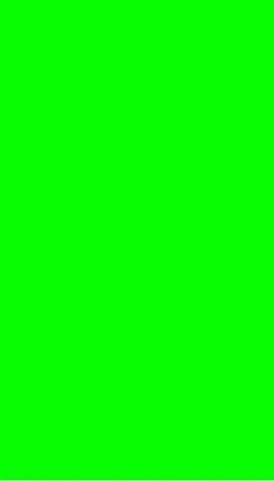 Lizard