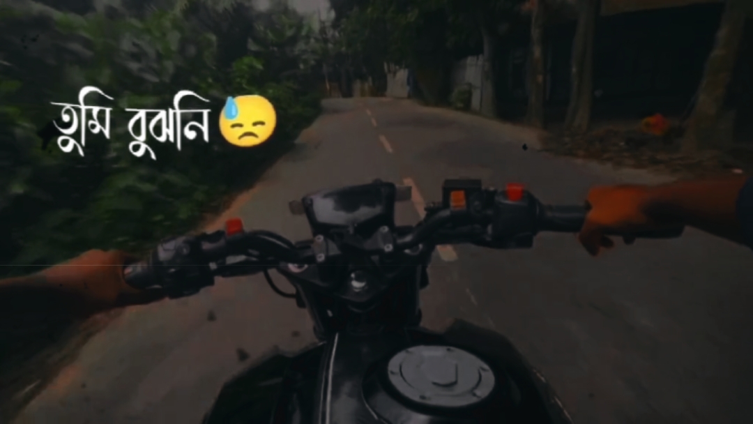 তুমি বুঝনি