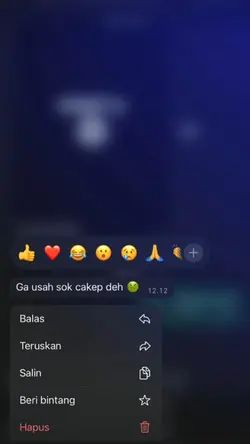 ga usah sok cakep