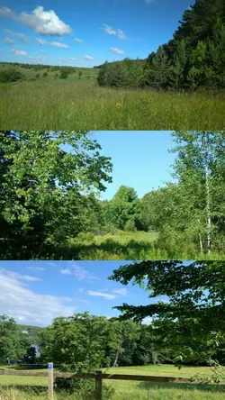 Nature 