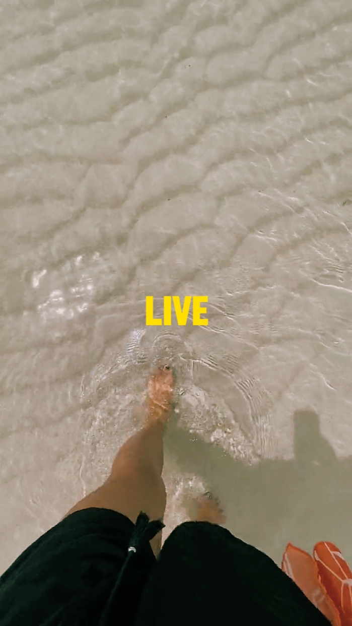 Live Your Best Life 