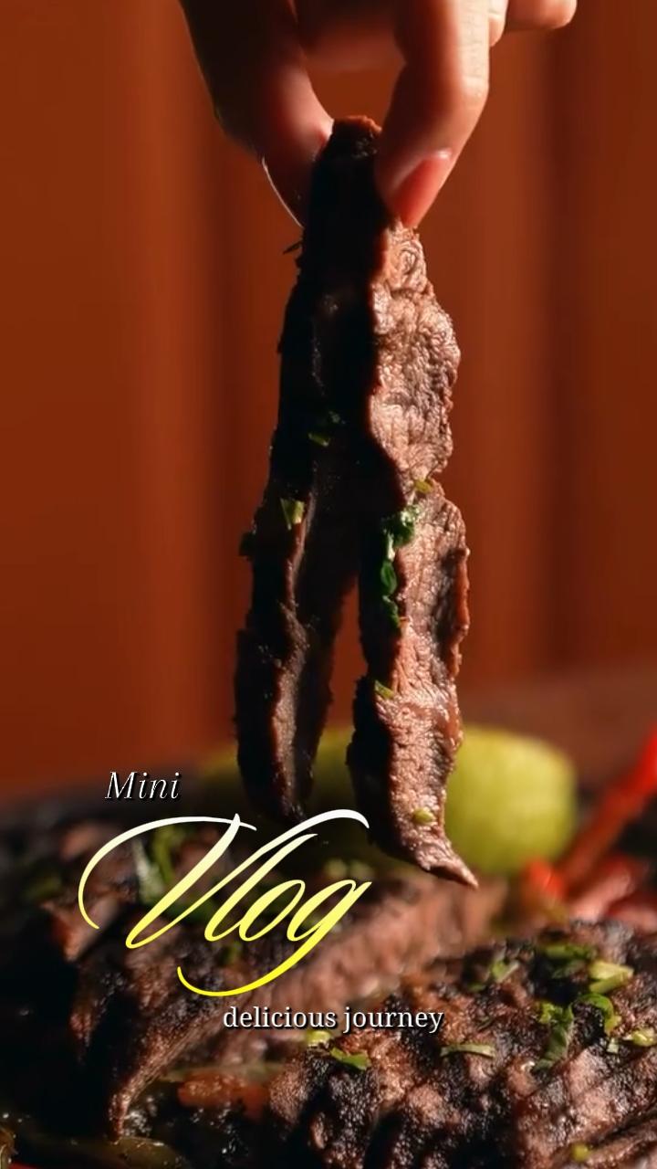 Vlog mini