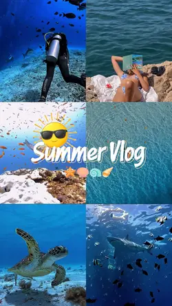 Summer vlog