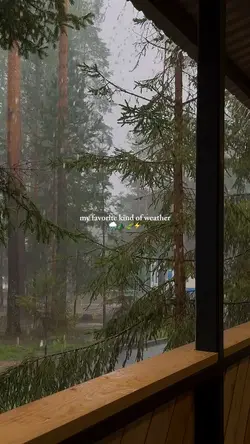rain