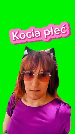 Kocica