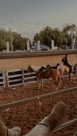 Nas curvas da estrad