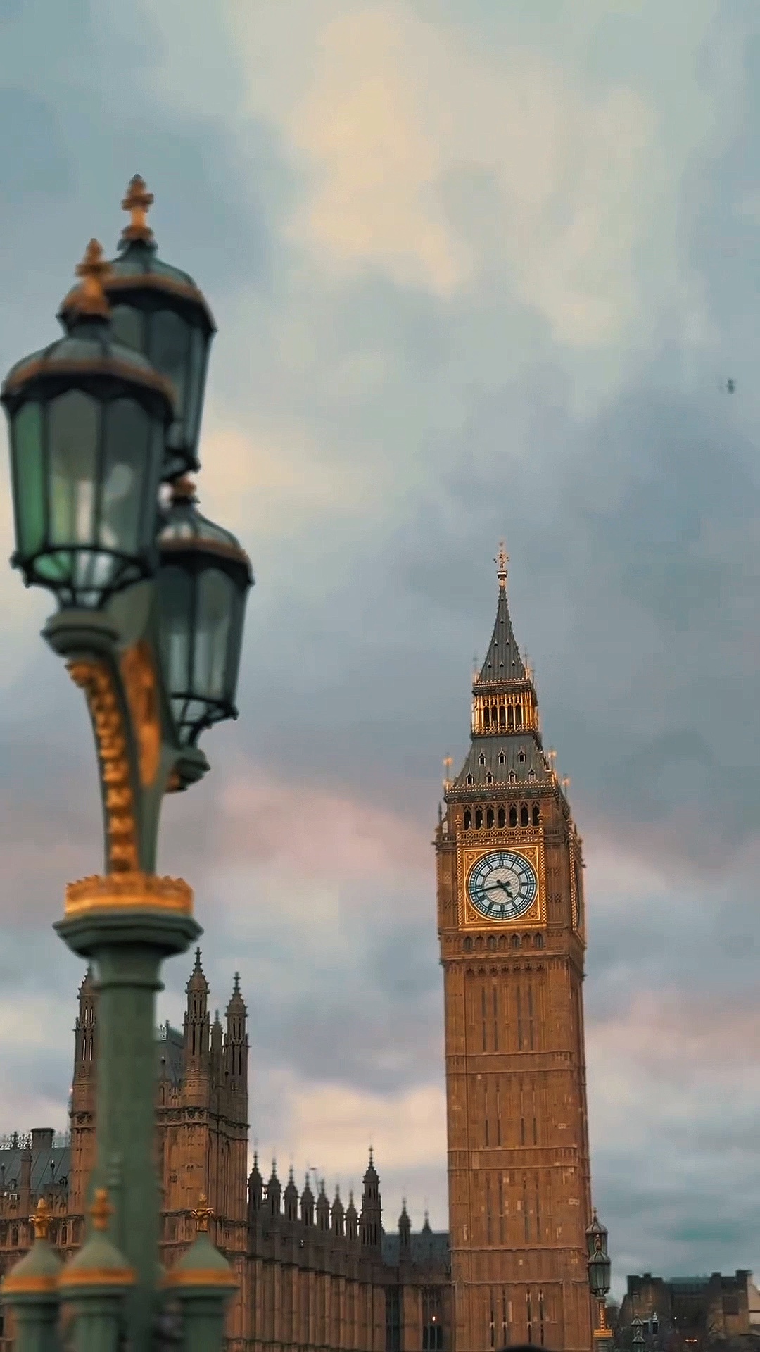 LONDON VIBES 