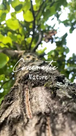 Cinematic nature
