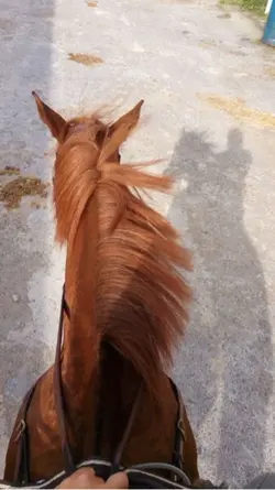 Cê tava me enganando