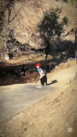 Cricket bat sound 🏏