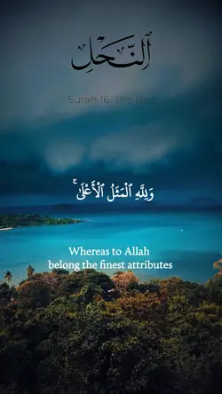 quran template