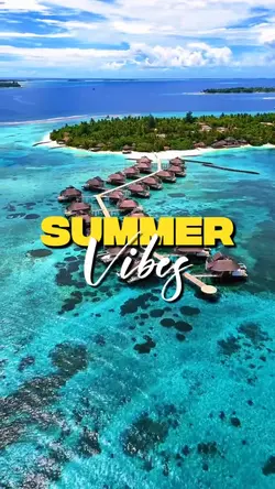 Summer Vibes