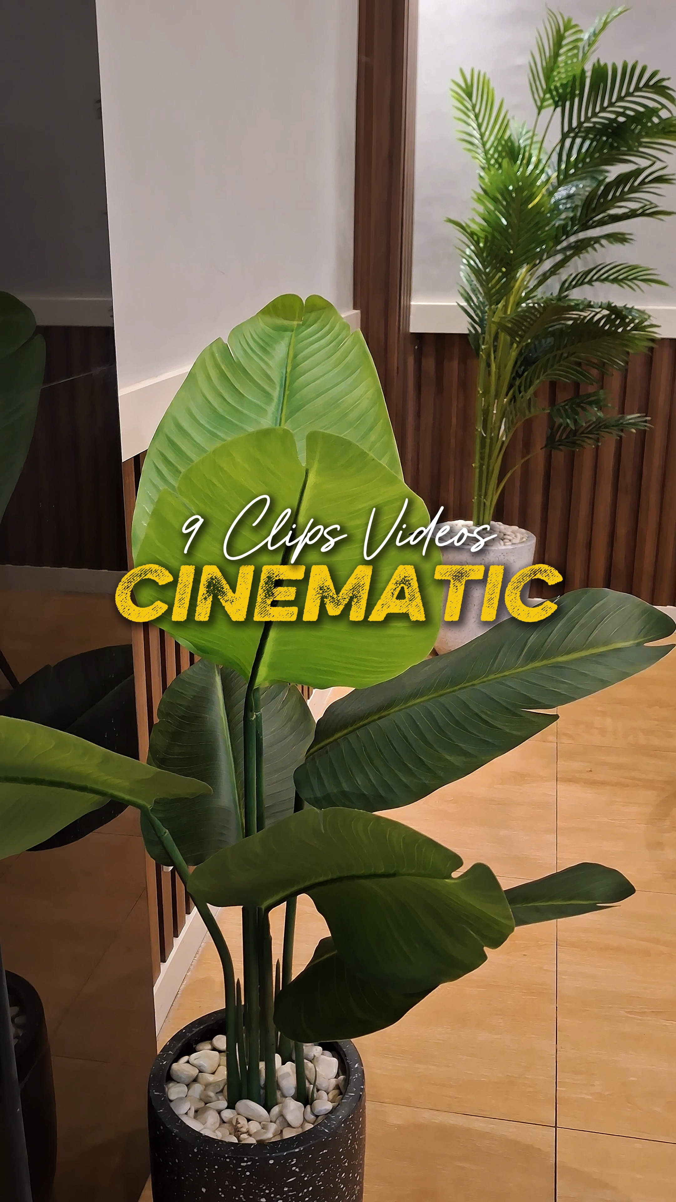 Cinematic 9 Vídeos