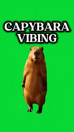 CAPYBARA
VIBING