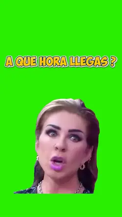 A QUÉ HORA LLEGAS ?