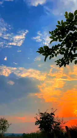 Tiktok / erhanlyrics