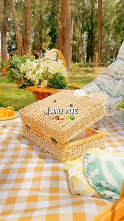 summer picnic