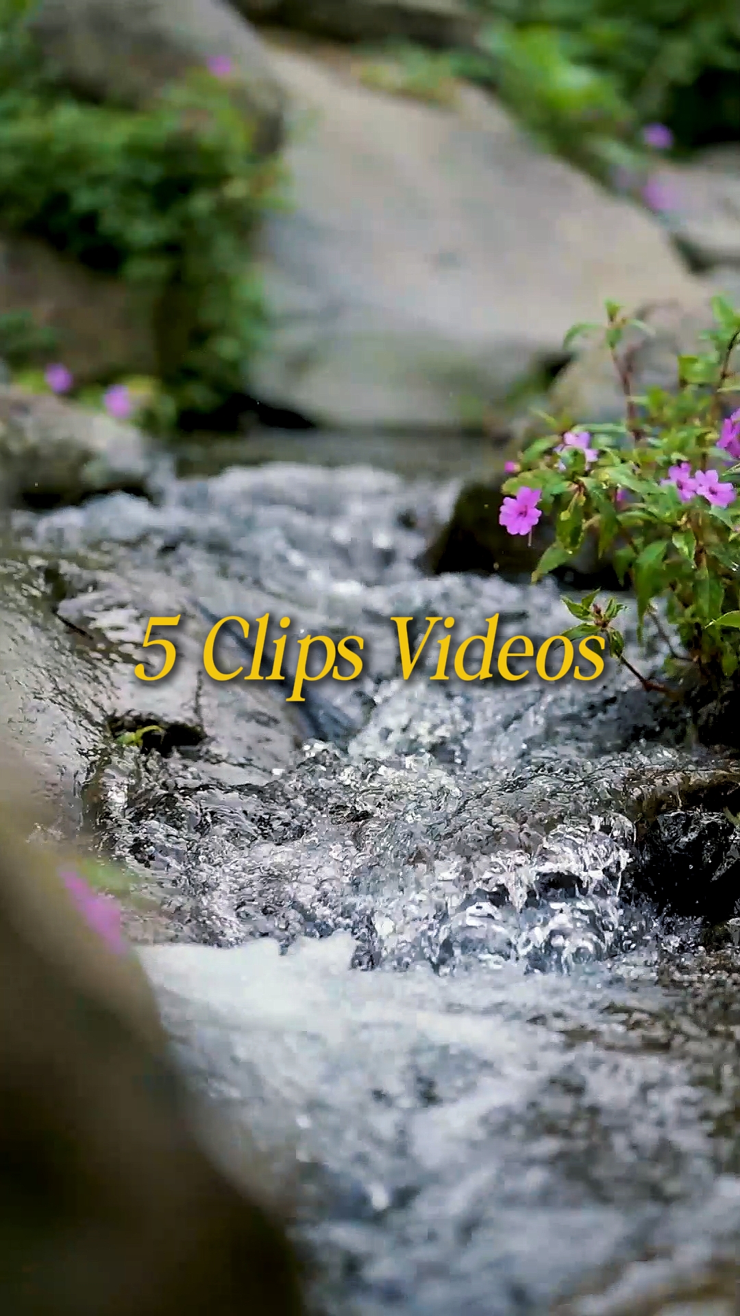Cinematic 5 Videos