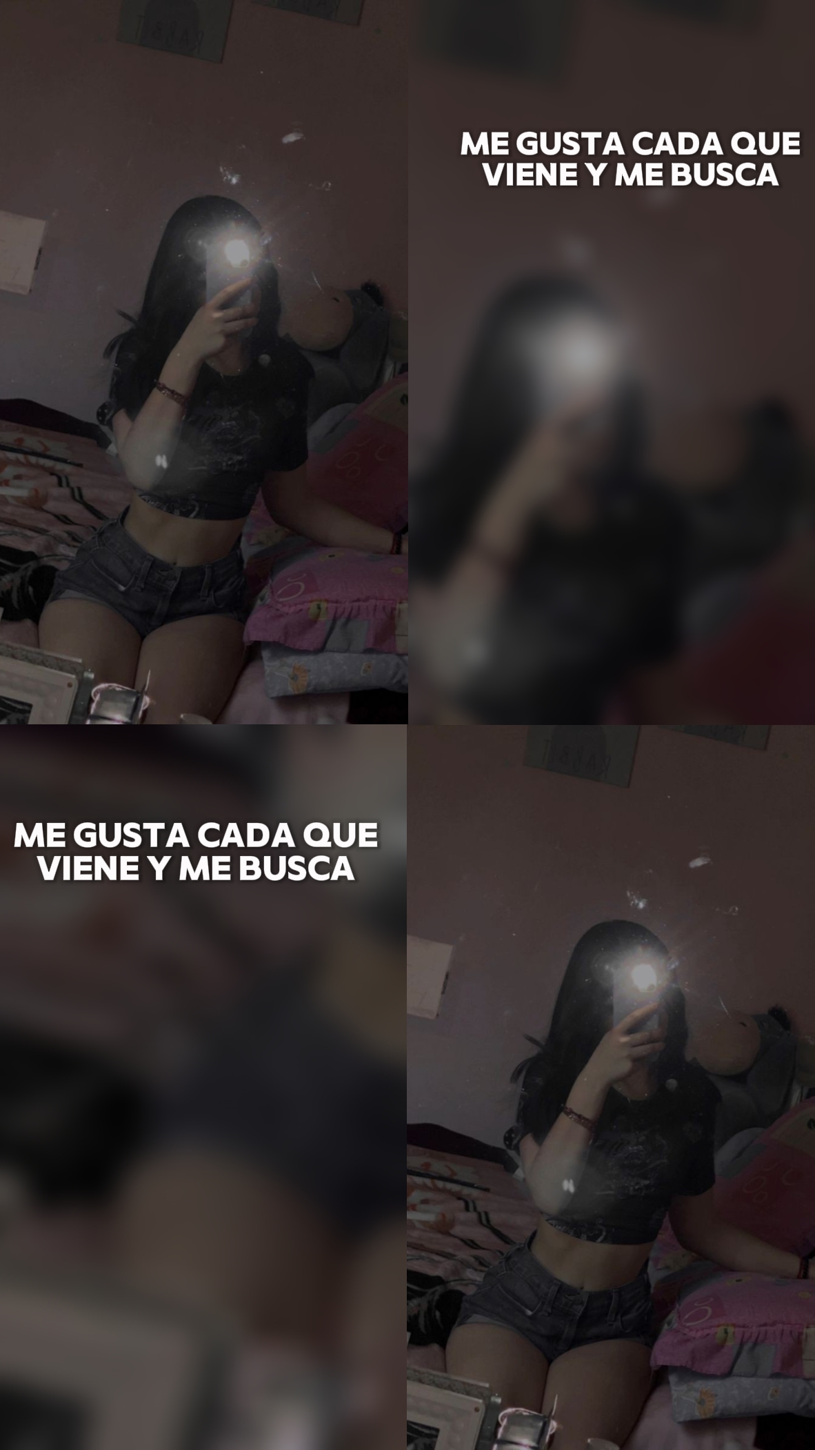 Santa grifa 