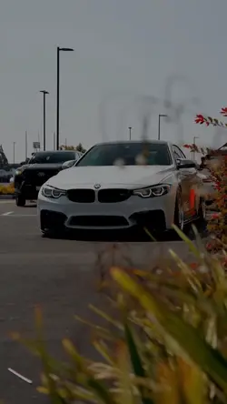 BMW Template