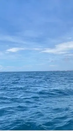 moana 🌺🐚🪸🌴