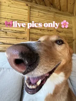 Live pics only!🌸