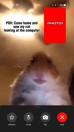 New template