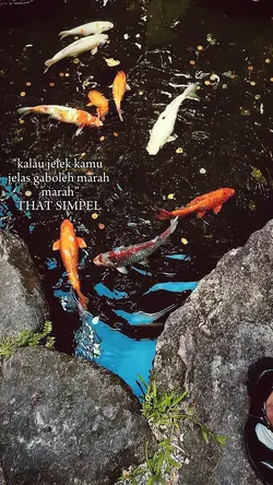 kalau jelek kamu