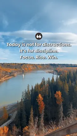Focus