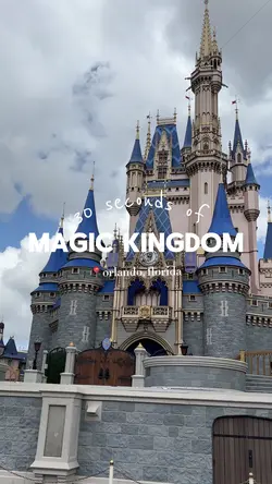 magic kingdom vlog