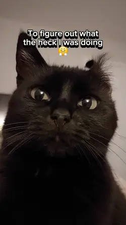 Need another minute.