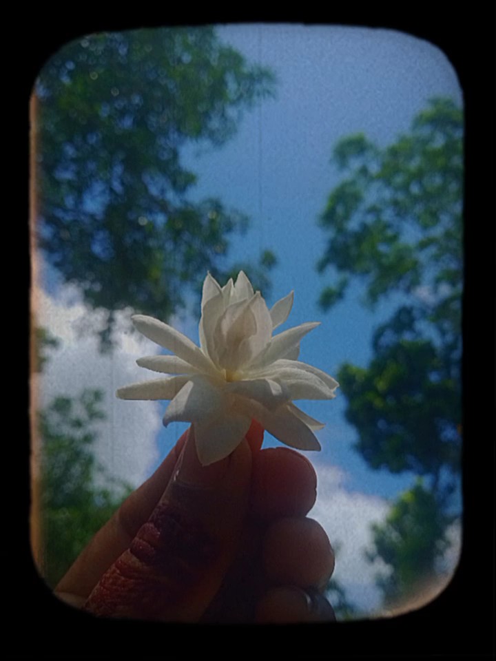 আমারও একটা আকাশ ছিলো