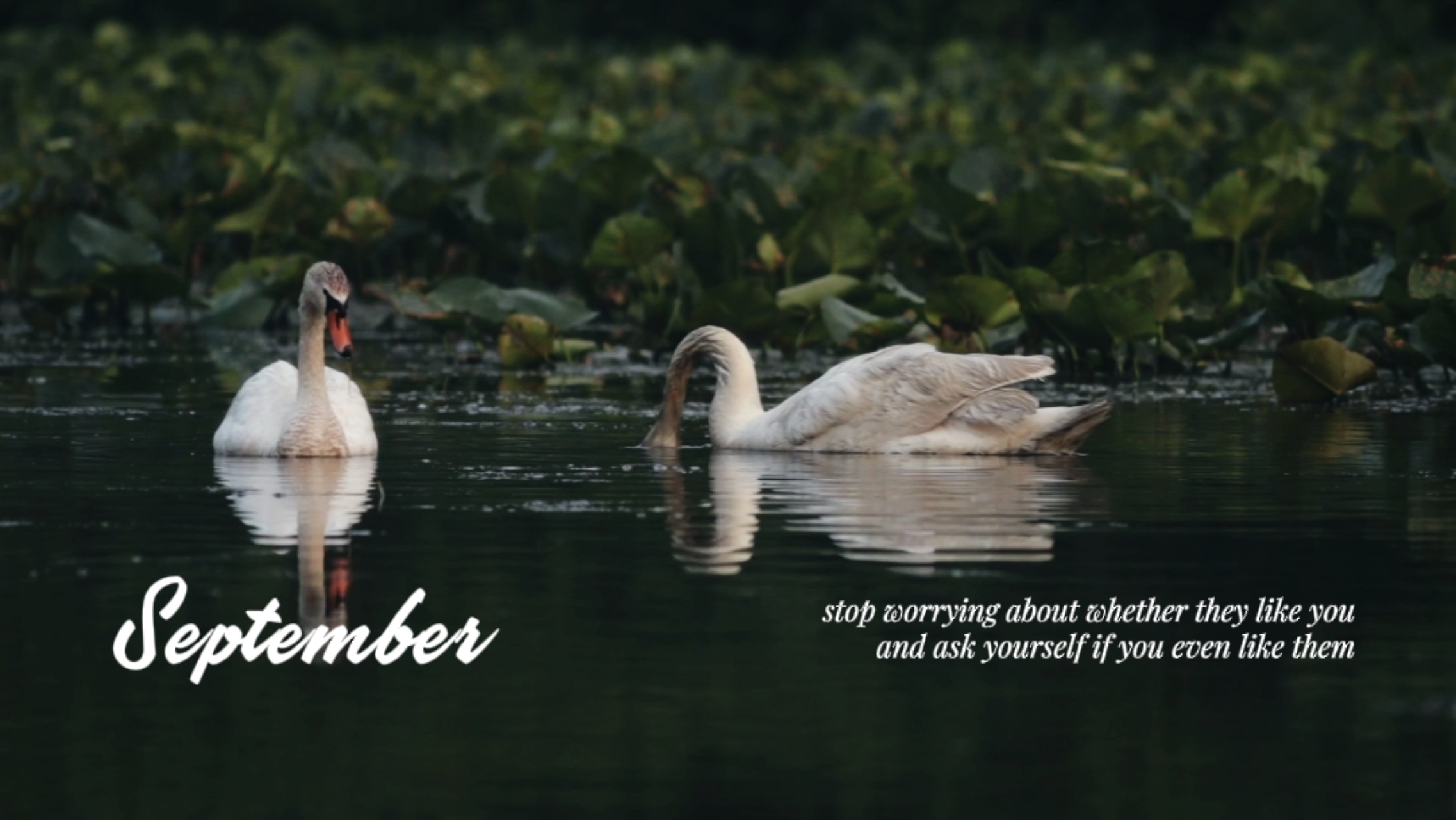 September